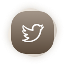 （推特Twitter）  高质量老号 | 送教程 | 安全稳定 | 永久独享